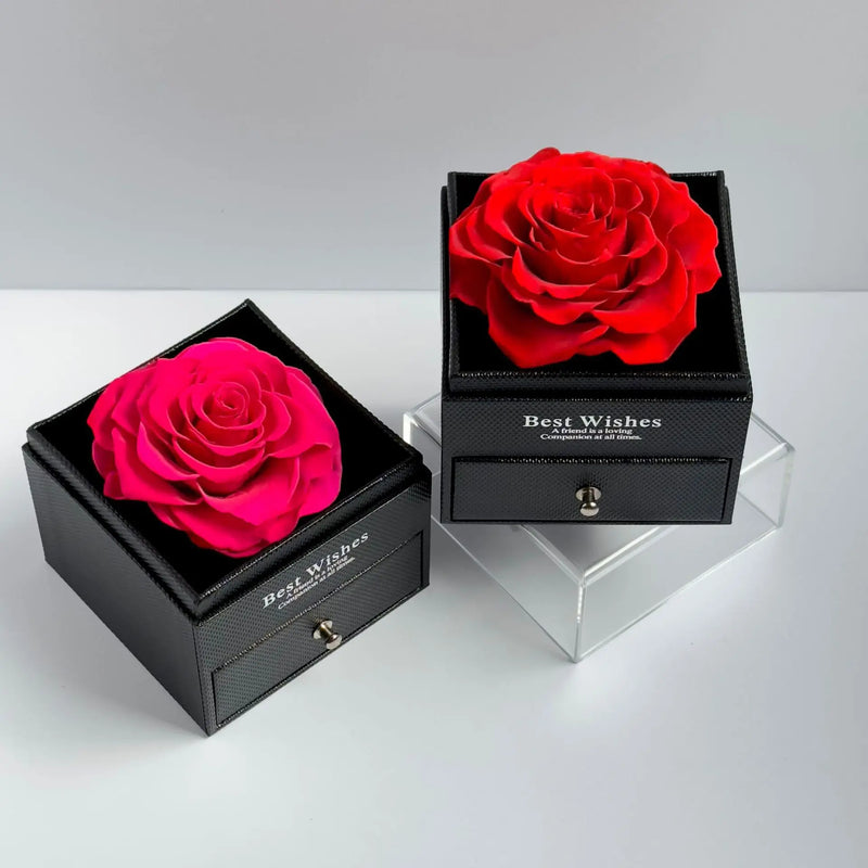 🌹 Éternelle™ – O Presente Que Celebra o Amor Eterno