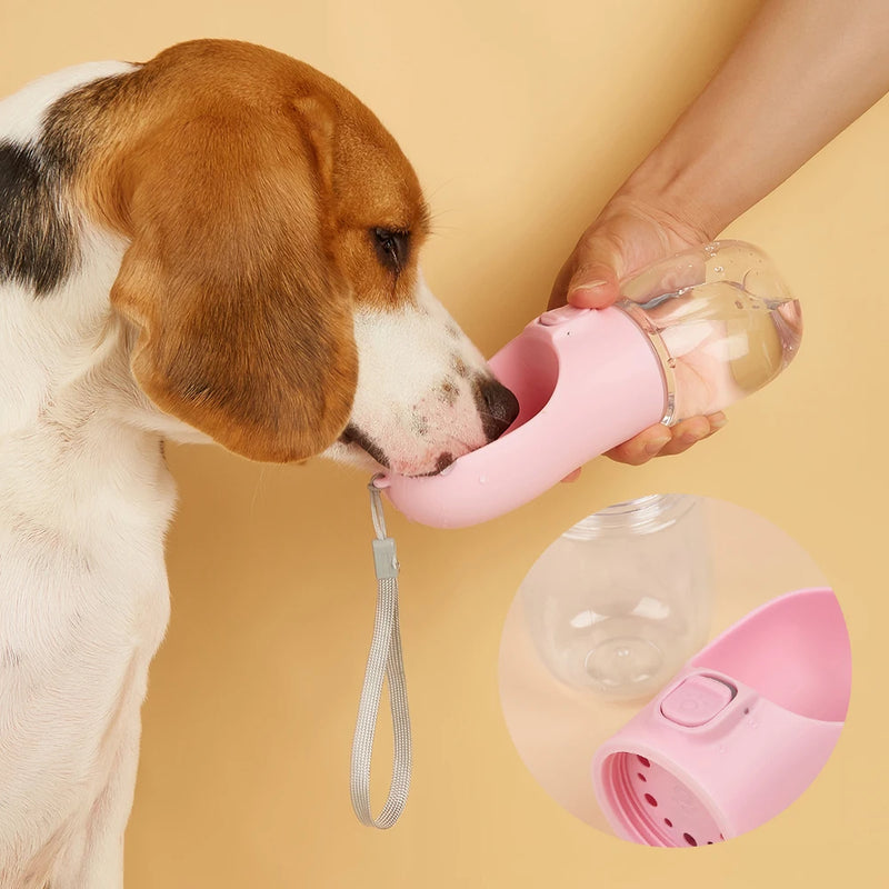 AquaPet™ – Hidratação prática e sem vazamentos para seu pet!